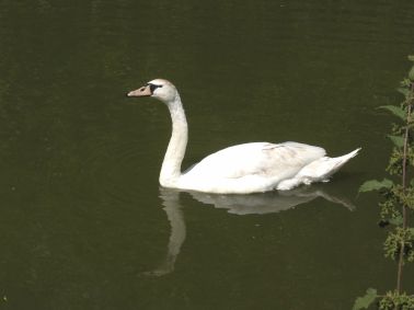 P6270104