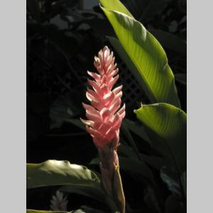 PB209159