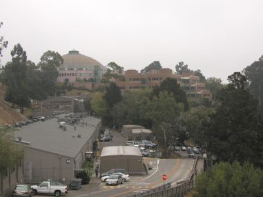 P9256438adj